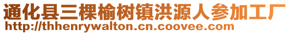 通化縣三棵榆樹鎮洪源人參加工廠