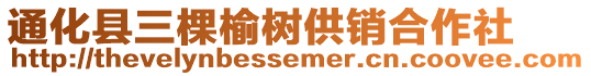 通化縣三棵榆樹供銷合作社