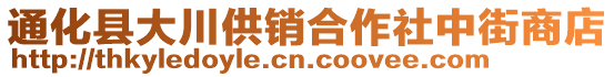 通化縣大川供銷合作社中街商店