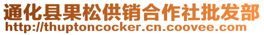 通化縣果松供銷合作社批發(fā)部