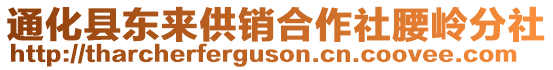 通化縣東來供銷合作社腰嶺分社