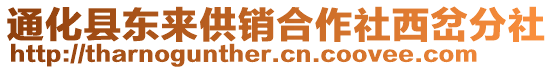 通化縣東來供銷合作社西岔分社