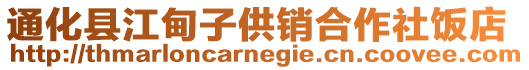 通化县江甸子供销合作社饭店