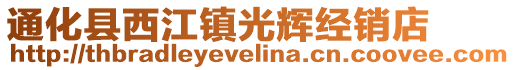 通化縣西江鎮光輝經銷店