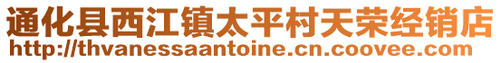 通化縣西江鎮太平村天榮經銷店