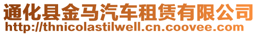 通化縣金馬汽車租賃有限公司