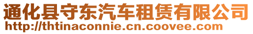 通化縣守東汽車租賃有限公司