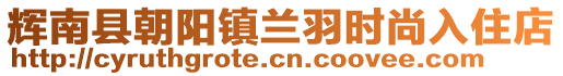 輝南縣朝陽(yáng)鎮(zhèn)蘭羽時(shí)尚入住店