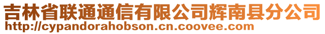 吉林省聯(lián)通通信有限公司輝南縣分公司