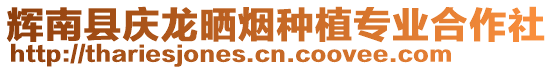 輝南縣慶龍曬煙種植專業(yè)合作社