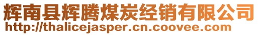 輝南縣輝騰煤炭經(jīng)銷有限公司