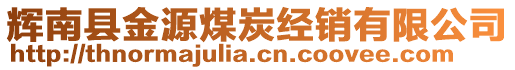 辉南县金源煤炭经销有限公司