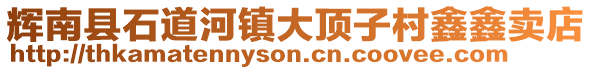 輝南縣石道河鎮大頂子村鑫鑫賣店