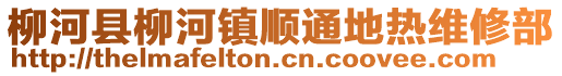 柳河县柳河镇顺通地热维修部