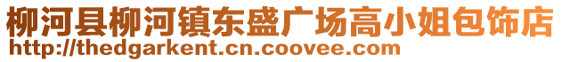 柳河縣柳河鎮(zhèn)東盛廣場(chǎng)高小姐包飾店