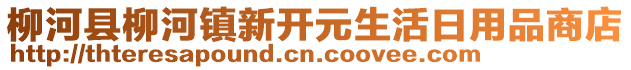 柳河县柳河镇新开元生活日用品商店