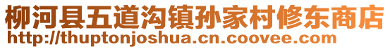 柳河縣五道溝鎮(zhèn)孫家村修東商店