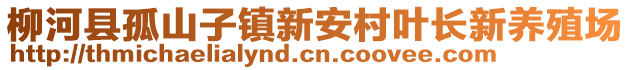 柳河县孤山子镇新安村叶长新养殖场