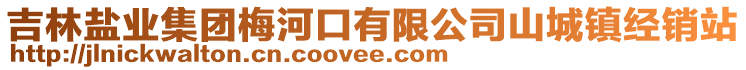 吉林鹽業(yè)集團(tuán)梅河口有限公司山城鎮(zhèn)經(jīng)銷站