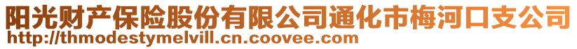 陽光財產保險股份有限公司通化市梅河口支公司