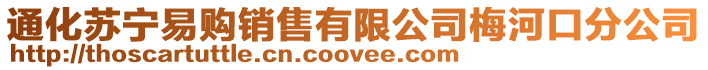 通化蘇寧易購(gòu)銷售有限公司梅河口分公司