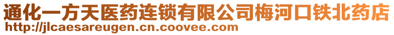 通化一方天醫(yī)藥連鎖有限公司梅河口鐵北藥店