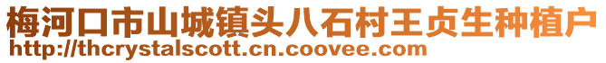 梅河口市山城鎮(zhèn)頭八石村王貞生種植戶