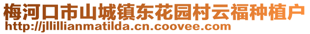 梅河口市山城鎮(zhèn)東花園村云福種植戶