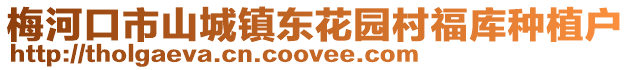 梅河口市山城鎮東花園村福庫種植戶