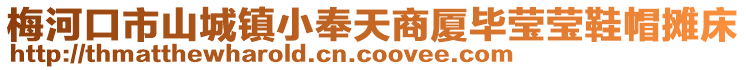 梅河口市山城鎮小奉天商廈畢瑩瑩鞋帽攤床