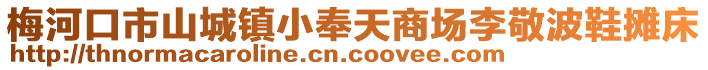 梅河口市山城鎮小奉天商場李敬波鞋攤床