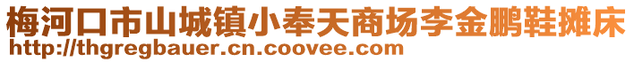 梅河口市山城鎮(zhèn)小奉天商場(chǎng)李金鵬鞋攤床