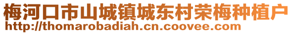梅河口市山城鎮(zhèn)城東村榮梅種植戶