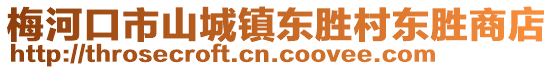 梅河口市山城鎮(zhèn)東勝村東勝商店