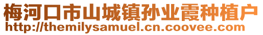 梅河口市山城鎮孫業霞種植戶