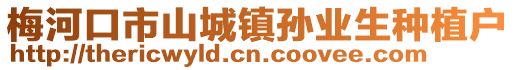 梅河口市山城鎮孫業生種植戶