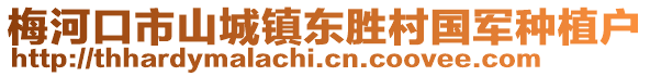梅河口市山城鎮東勝村國軍種植戶