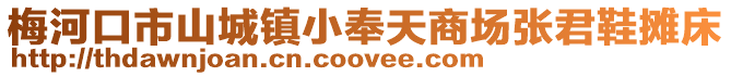 梅河口市山城鎮小奉天商場張君鞋攤床