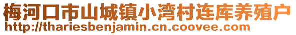 梅河口市山城鎮(zhèn)小灣村連庫(kù)養(yǎng)殖戶