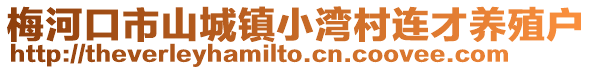 梅河口市山城鎮小灣村連才養殖戶