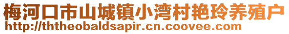 梅河口市山城鎮小灣村艷玲養殖戶