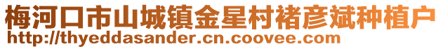 梅河口市山城鎮(zhèn)金星村褚彥斌種植戶
