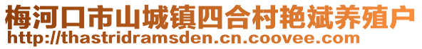 梅河口市山城鎮四合村艷斌養殖戶
