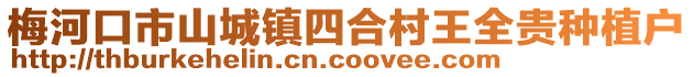 梅河口市山城鎮(zhèn)四合村王全貴種植戶