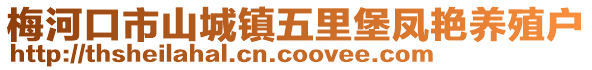 梅河口市山城鎮(zhèn)五里堡鳳艷養(yǎng)殖戶