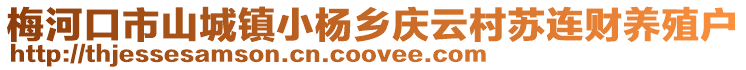 梅河口市山城鎮小楊鄉慶云村蘇連財養殖戶