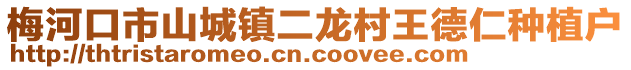 梅河口市山城鎮(zhèn)二龍村王德仁種植戶