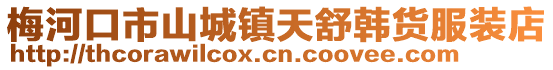 梅河口市山城鎮天舒韓貨服裝店