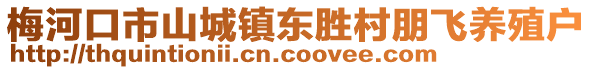 梅河口市山城鎮(zhèn)東勝村朋飛養(yǎng)殖戶