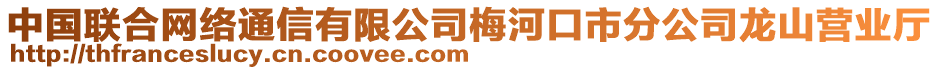 中國(guó)聯(lián)合網(wǎng)絡(luò)通信有限公司梅河口市分公司龍山營(yíng)業(yè)廳